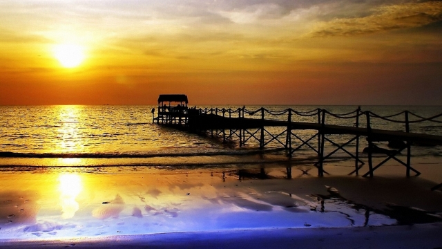 优发：园林绿化花草树木苗多多