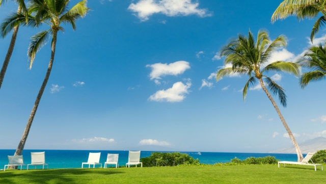 优发国际：园林绿化材质后看不见