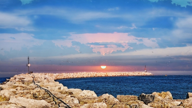 优发国际：园林绿化有毒吗