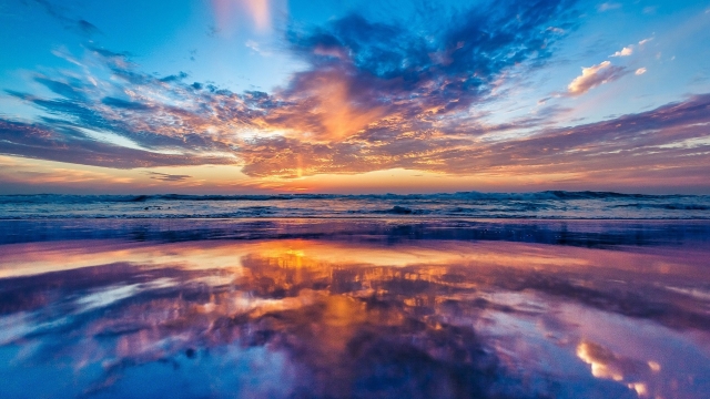 园林绿化花树开花树