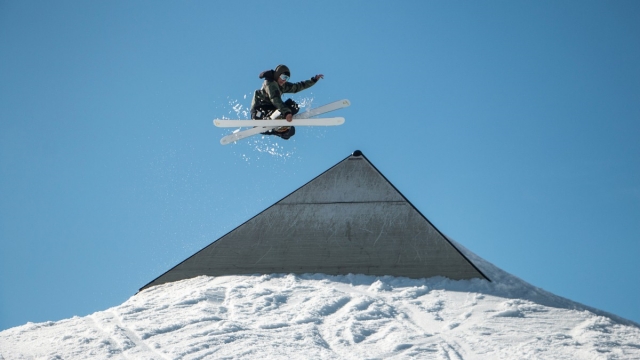 优发国际：园林绿化种植什么蔬菜