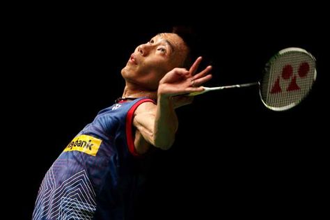 优发国际：园林绿化树种类有