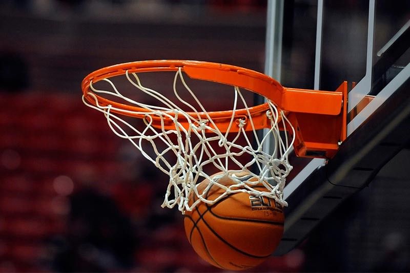 优发集团：园林绿化草坪杀虫用什么药